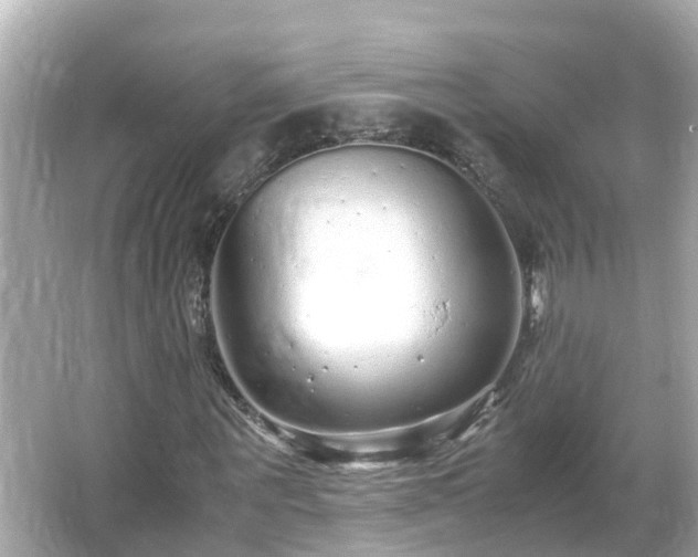 X0000066000867200603101528