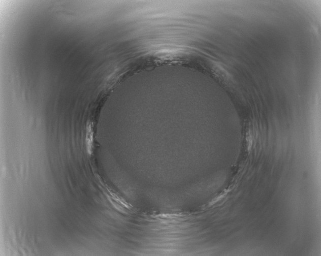 X0000066000868200603101528