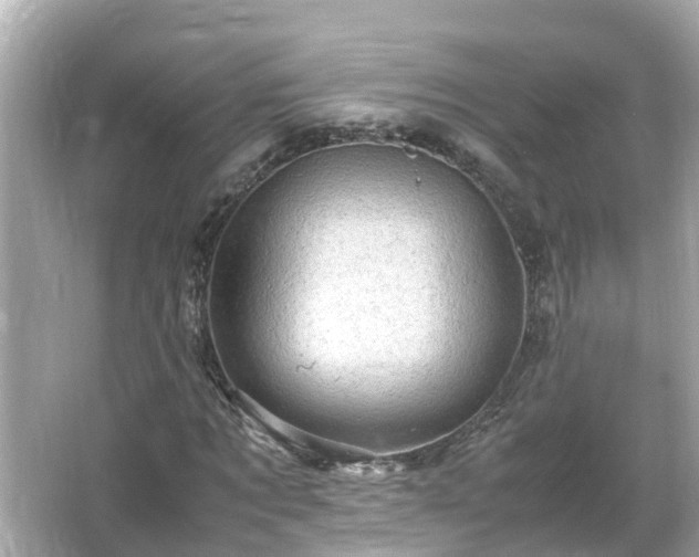 X0000066000869200603101528