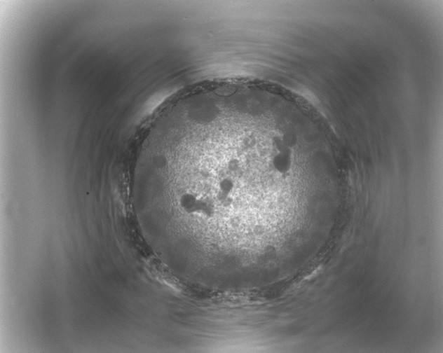 X0000066000871200603101528