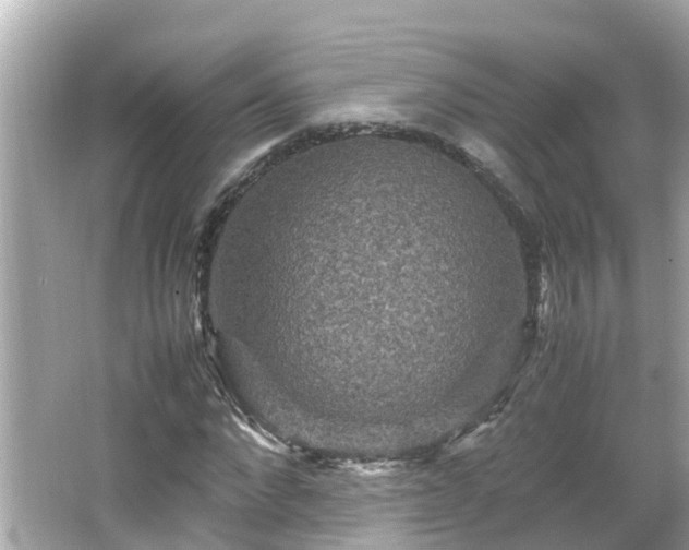 X0000066000872200603101528