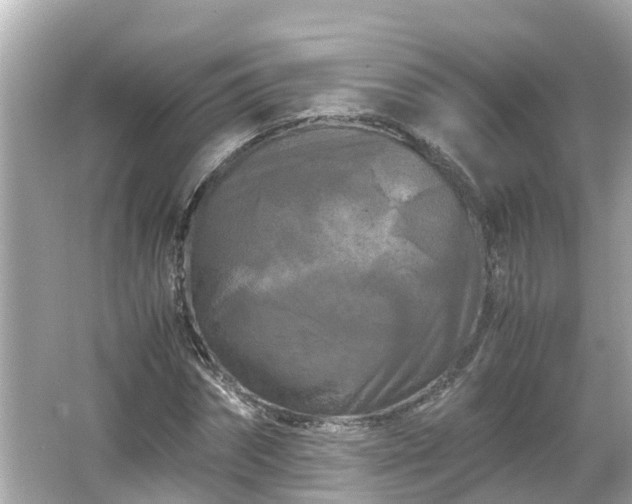 X0000066000874200603101528