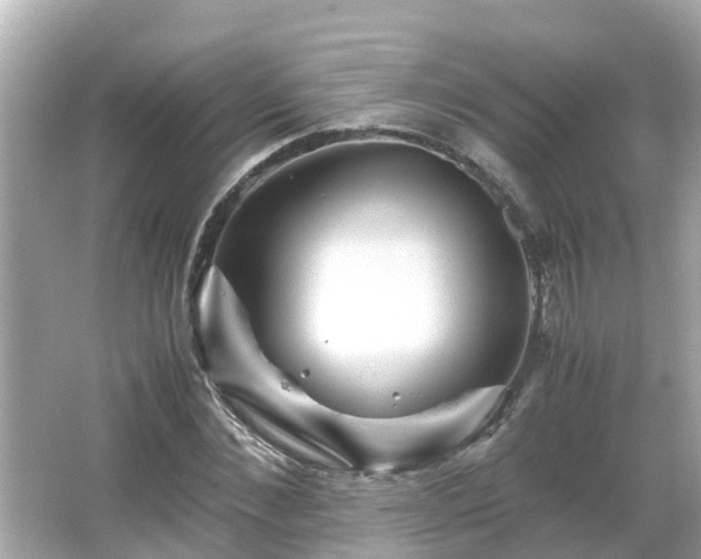 X0000066000876200603101528