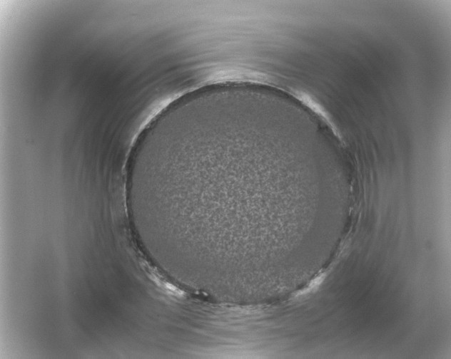 X0000066000877200603101528