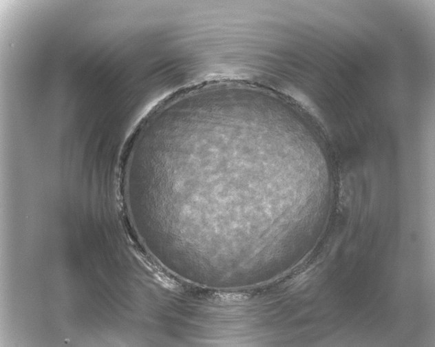 X0000066000878200603101528