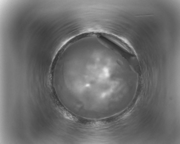 X0000066000879200603101528