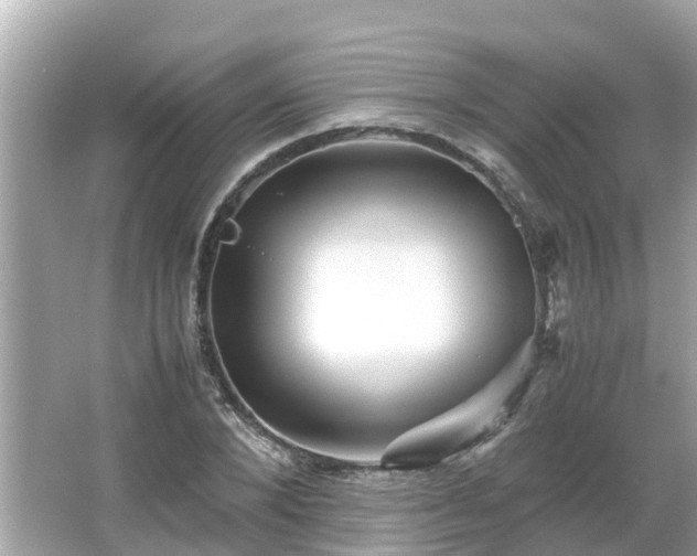 X0000066000880200603101528