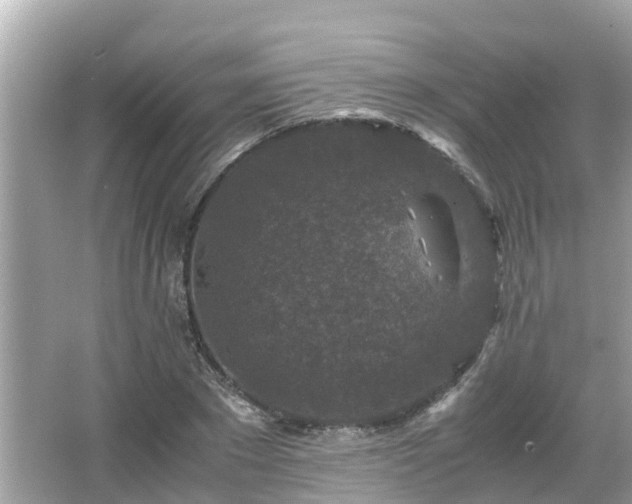 X0000066000881200603101528