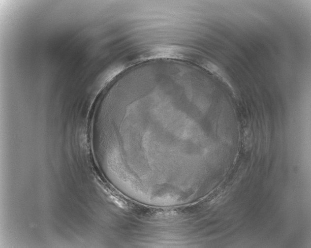 X0000066000882200603101528