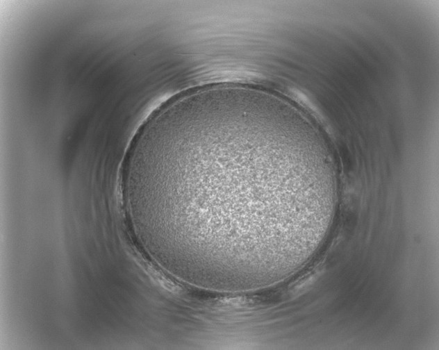 X0000066000883200603101528