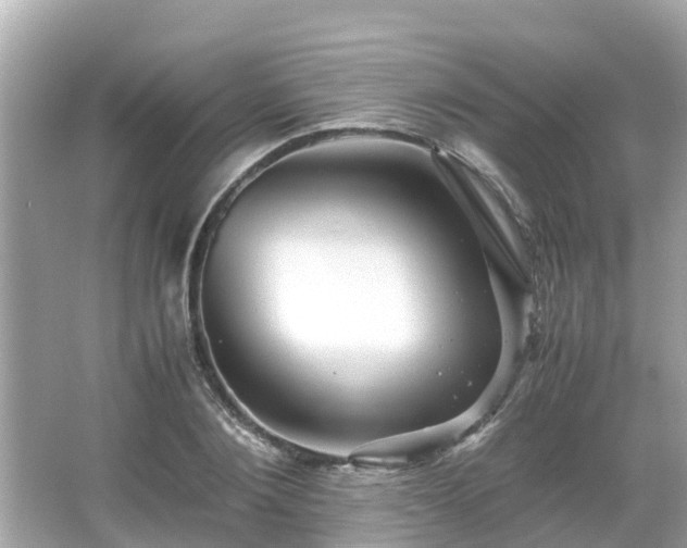 X0000066000884200603101528