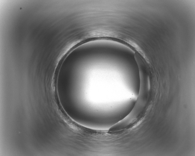 X0000066000885200603101528