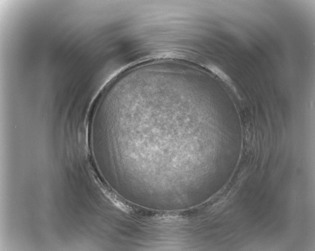 X0000066000886200603101528