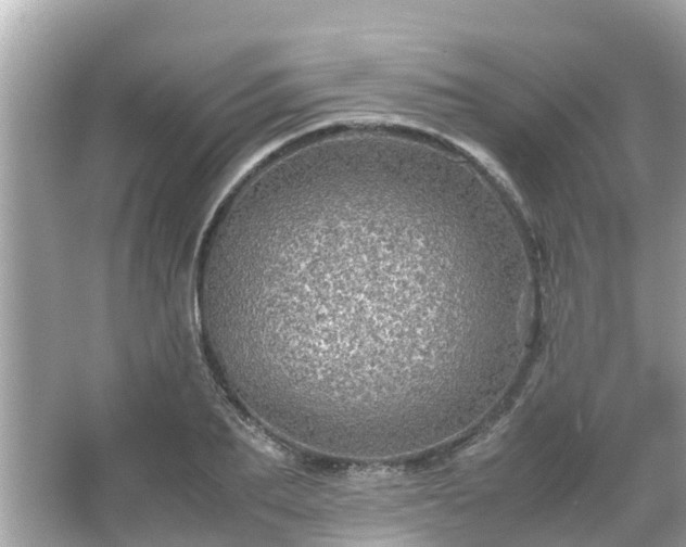 X0000066000887200603101528