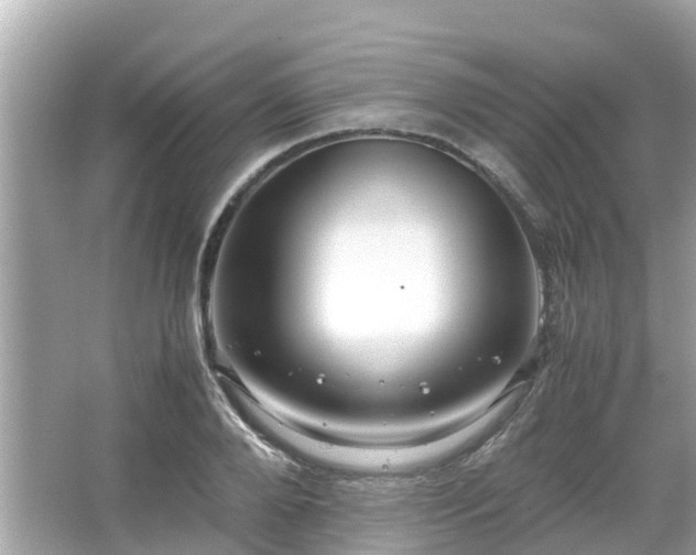 X0000066000888200603101528