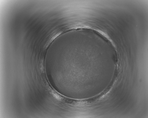 X0000066000889200603101528