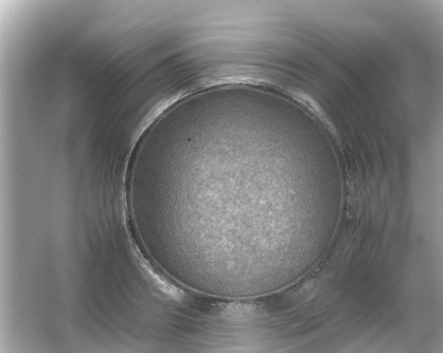 X0000066000890200603101528