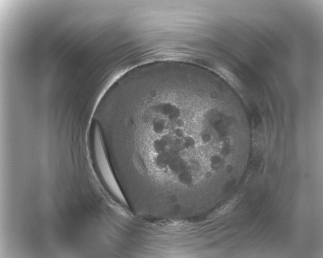 X0000066000891200603101528