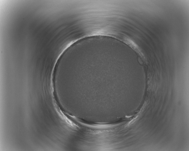 X0000066000892200603101528