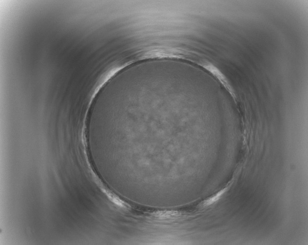 X0000066000893200603101527