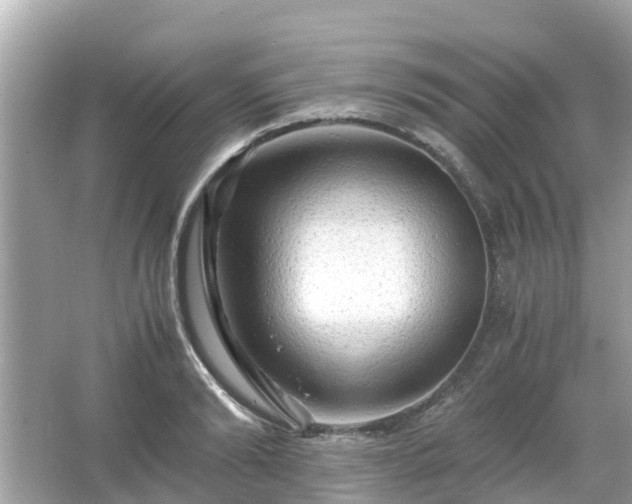 X0000066000894200603101527