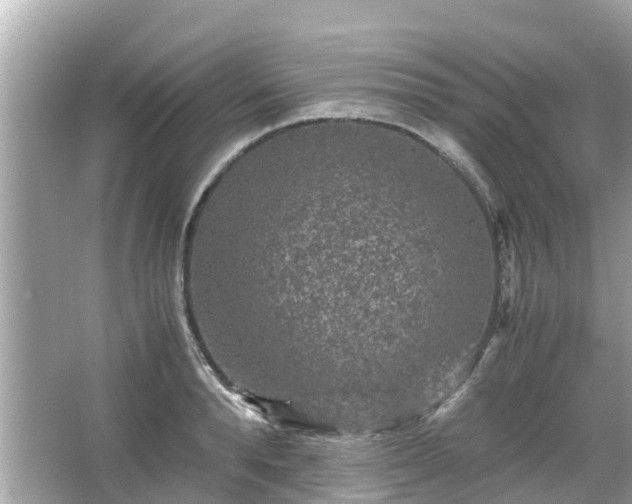 X0000066000896200603101527