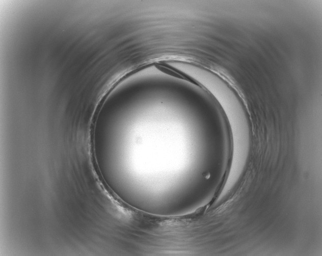 X0000066000898200603101527