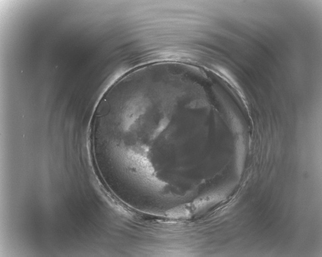 X0000066000899200603101527