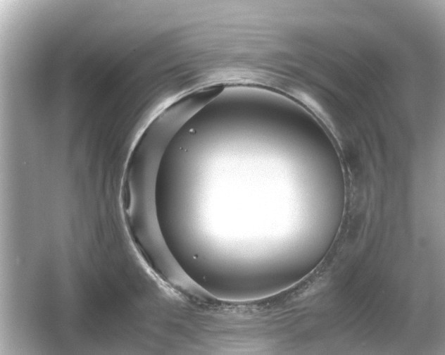 X0000066000901200603101527