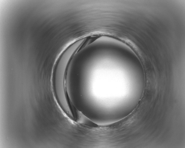 X0000066000902200603101527