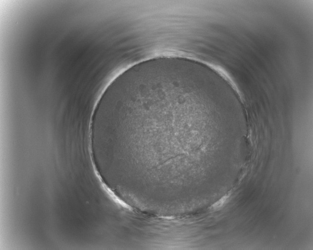 X0000066000903200603101527