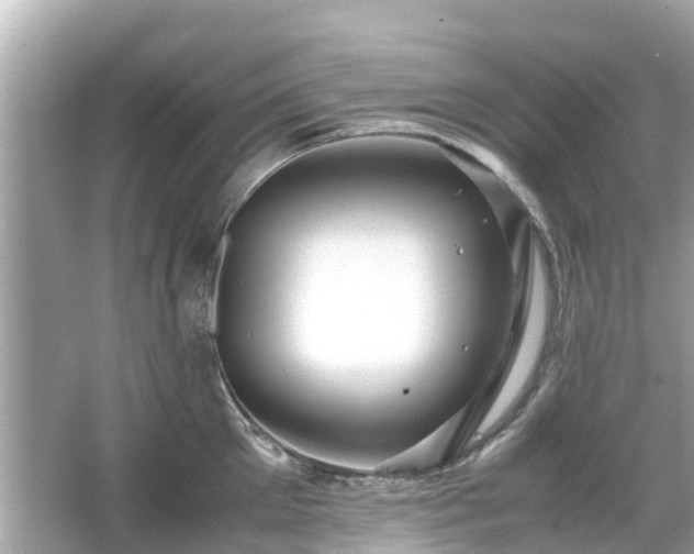 X0000066000905200603101527