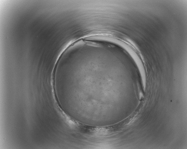 X0000066000907200603101527