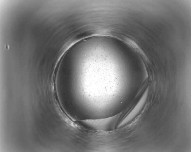 X0000066000908200603101527