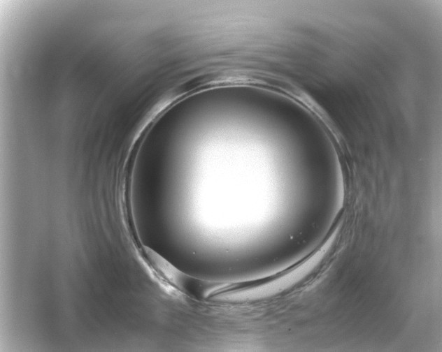 X0000066000909200603101527