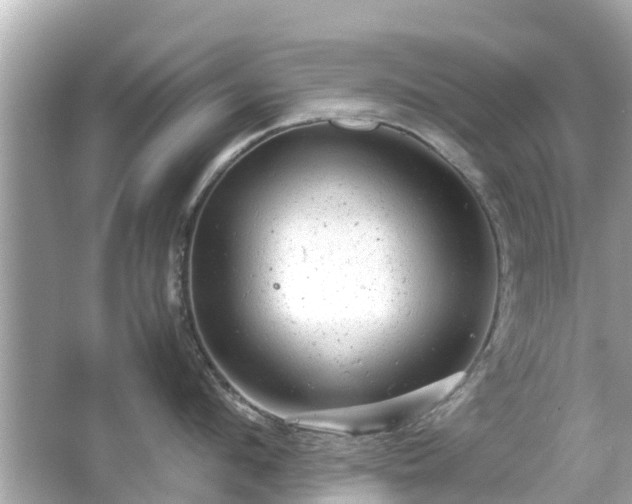 X0000066000912200603101527