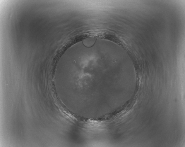 X0000066000913200603101526