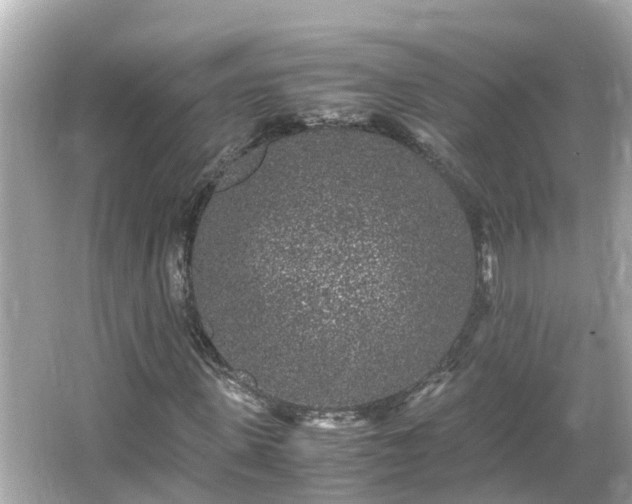 X0000066000915200603101526