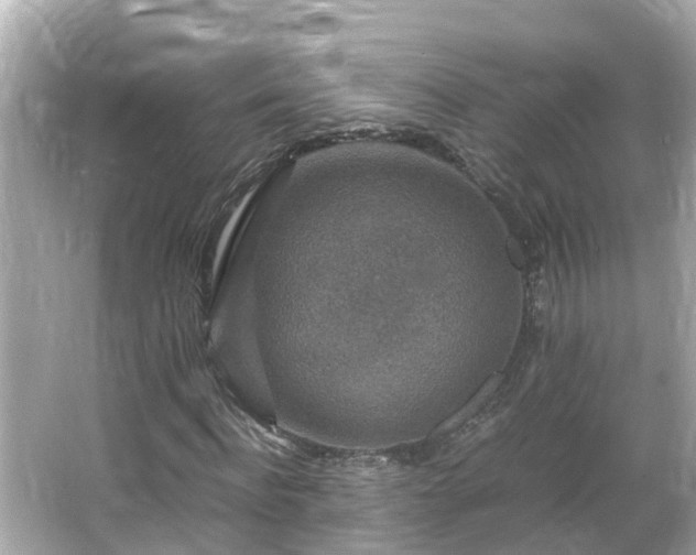 X0000066000916200603101526