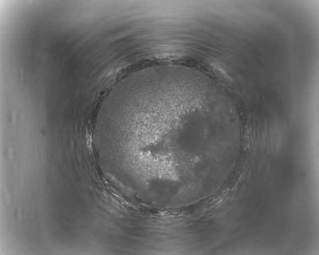 X0000066000917200603101526