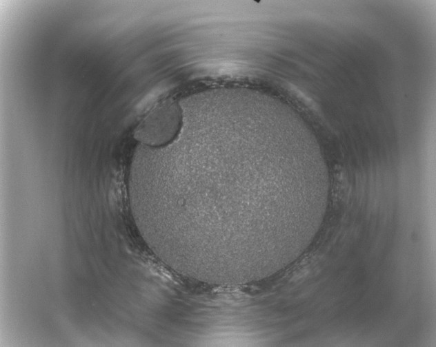 X0000066000918200603101526