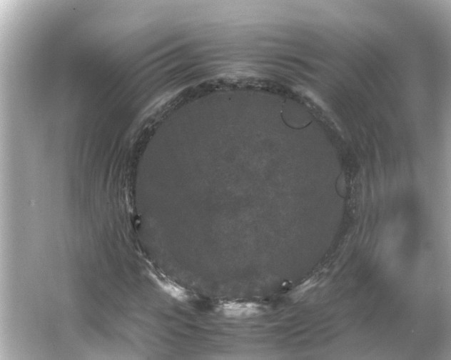 X0000066000919200603101526