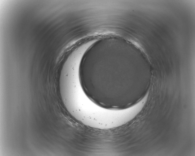 X0000066000920200603101526