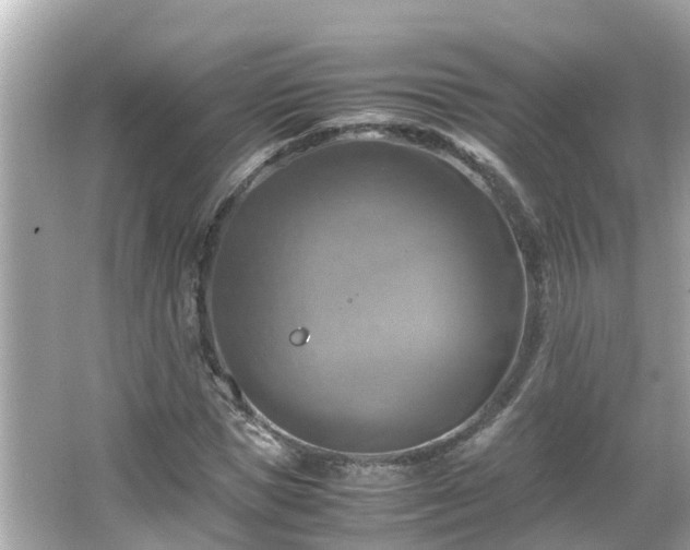 X0000066000921200603101526