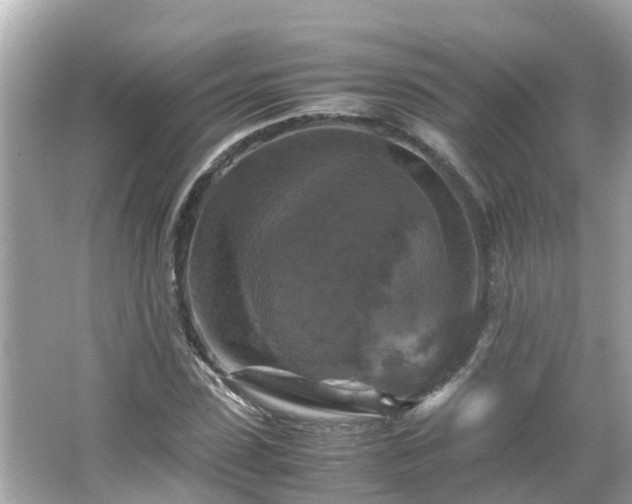 X0000066000923200603101527