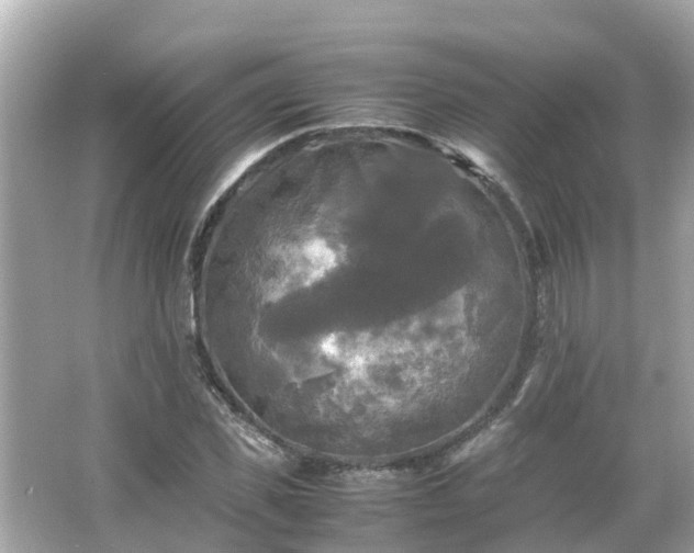 X0000066000925200603101527