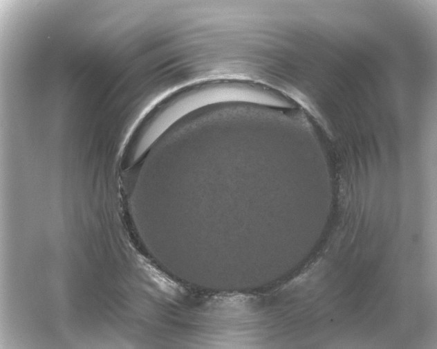 X0000066000926200603101527