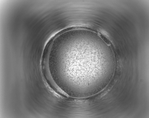 X0000066000928200603101527