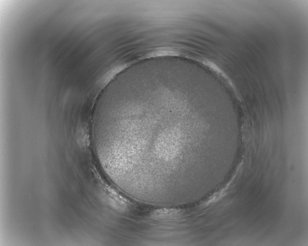 X0000066000929200603101527