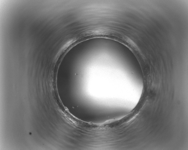 X0000066000930200603101527